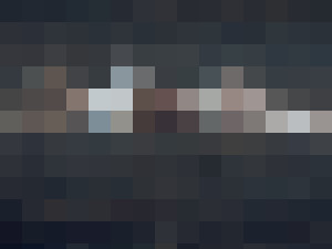 xyligana.jpg