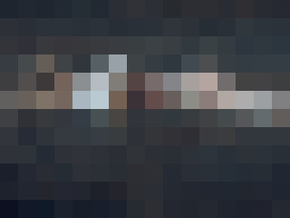 xyligana.jpg