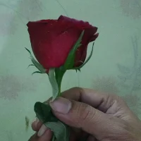 hot_khatun_69.jpg